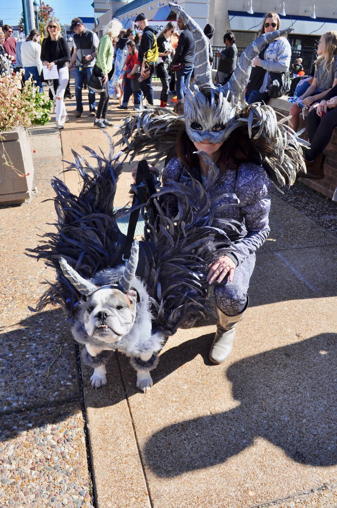 Howloween in the Delmar Loop